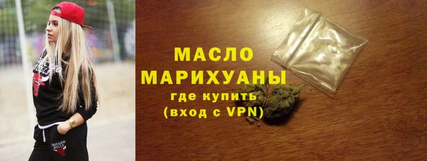 индика Гусев