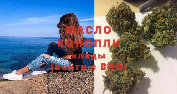 индика Гусев