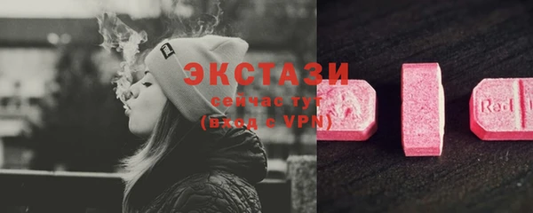 стаф Горняк