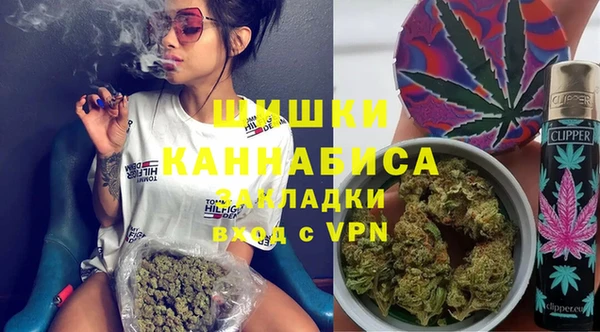 стаф Горняк
