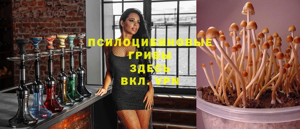 стаф Горняк