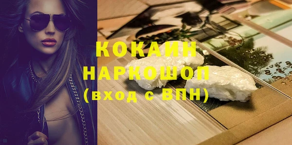 стаф Горняк