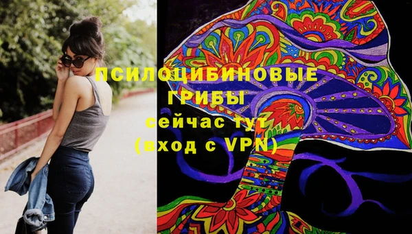 ешки Гусиноозёрск