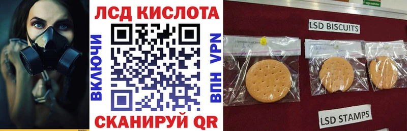 Купить где  Суровикино  Марки N-bome 1500мкг 